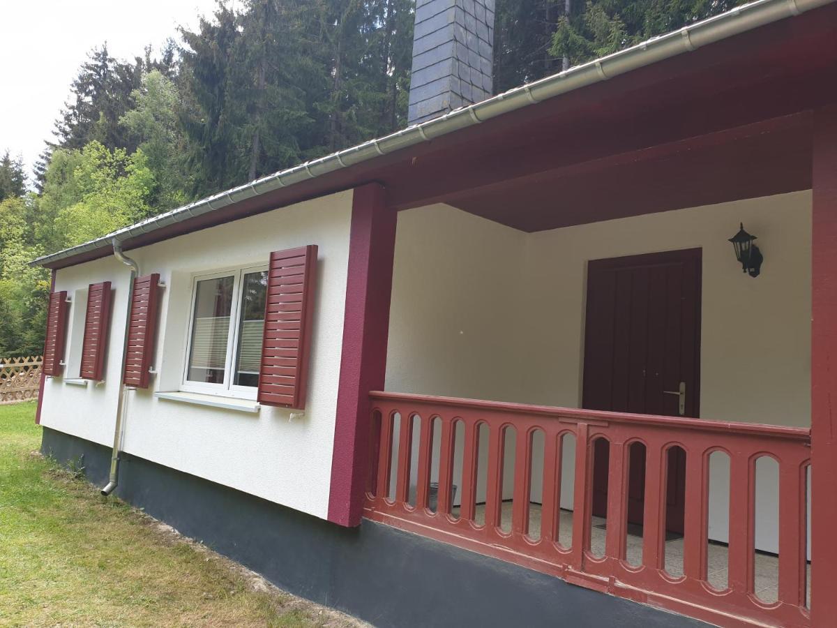 Erzgebirgsidyll Breitenbrunn - Waldhaus Neuer Anbau Екстер'єр фото