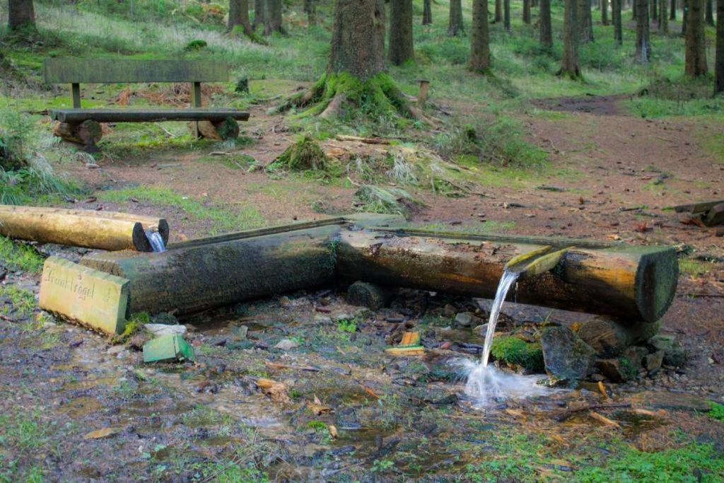Erzgebirgsidyll Breitenbrunn - Waldhaus Neuer Anbau Екстер'єр фото